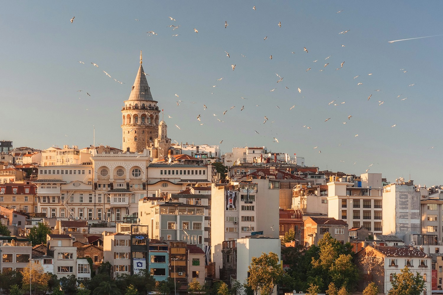 İstanbul'da Galata Kulesi ve tarihi şehir dokusu